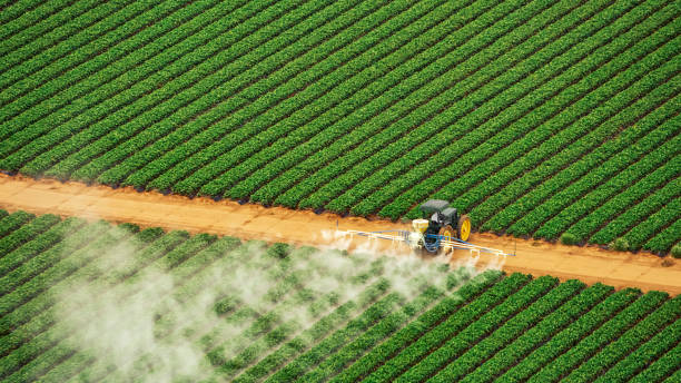 Best Pest Control Near Me  in Swifton, AR